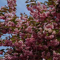 2014-04-25 07-49-48