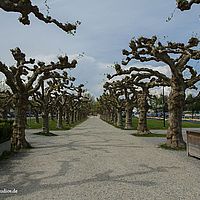 2014-04-25 07-57-23