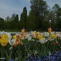 2014-04-25 10-40-45