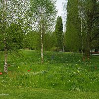 2014-04-25 10-41-10