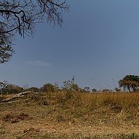 2013-09-21 14-21-40