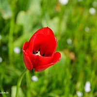 2014-04-25 10-41-37