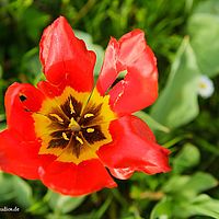 2014-04-25 10-42-27