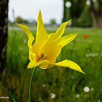 2014-04-25 10-43-00