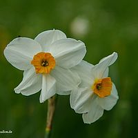 2014-04-25 10-43-43