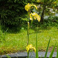 2014-05-31 14-10-47