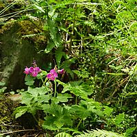 2014-05-31 14-12-59