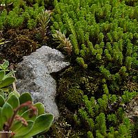 2014-05-31 14-13-43