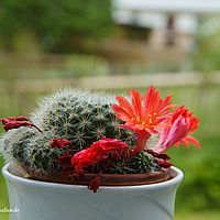 2014-05-31 14-31-38