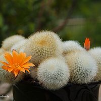 2014-05-31 14-34-13