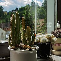 2014-05-31 14-35-38