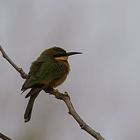 2013-09-22 07-20-32