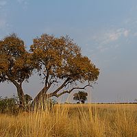 2013-09-22 07-37-26