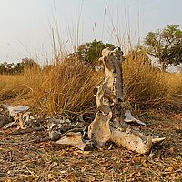 2013-09-22 07-49-23