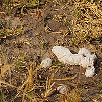 2013-09-22 09-02-24