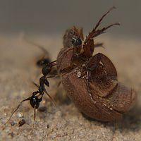 2013-09-22 13-50-39