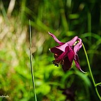 2014-06-07 12-05-51