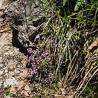 2014-06-07 12-06-53