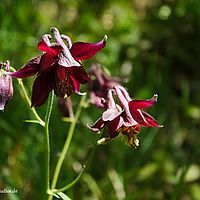 2014-06-07 12-07-57