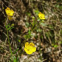 2014-06-07 12-09-44