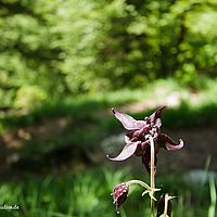 2014-06-07 12-18-50
