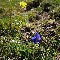 2014-06-07 12-59-52