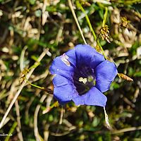2014-06-07 13-01-01