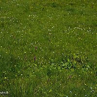 2014-06-07 15-30-45