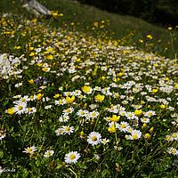 2014-06-07 15-31-36