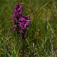 2014-06-07 15-34-22