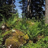 2014-06-08 11-11-09