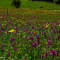 2014-06-08 11-34-35