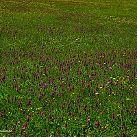 2014-06-08 11-34-47