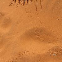 2013-09-14 11-56-14