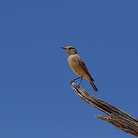 2013-09-14 13-10-19