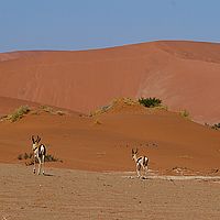 2013-09-14 14-10-03