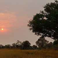 2013-09-23 06-53-41-3