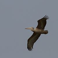 2013-09-23 09-13-48