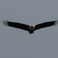 2013-09-23 10-42-35-4