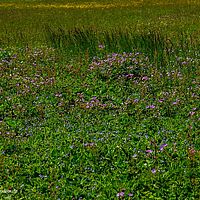 2014-06-08 11-36-47