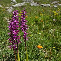 2014-06-08 11-44-48