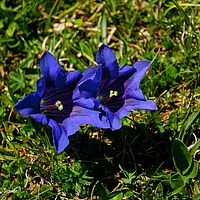 2014-06-08 12-25-59