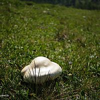 2014-06-08 14-08-42