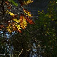 2014-10-12 14-56-09