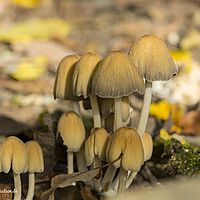 2014-10-12 15-09-09