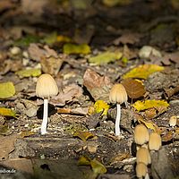 2014-10-12 15-09-39
