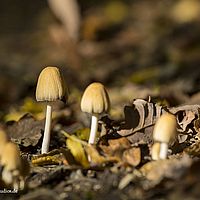 2014-10-12 15-10-37