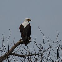 2013-09-23 10-58-21