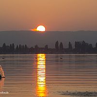 2014-10-03 18-46-28