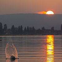 2014-10-03 18-47-21-8